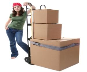 Országos kiszállítás